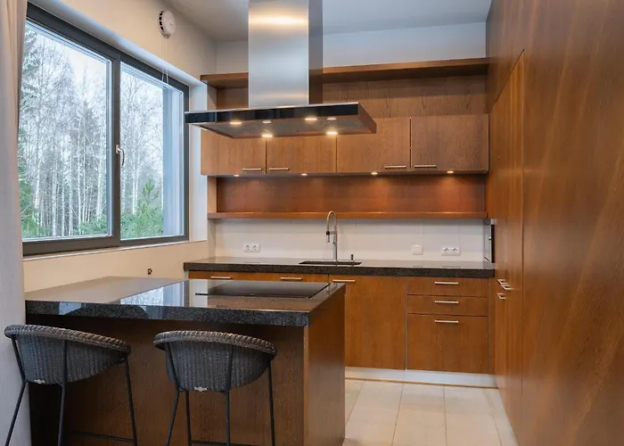 萨斯基亚别墅酒店 Otepää